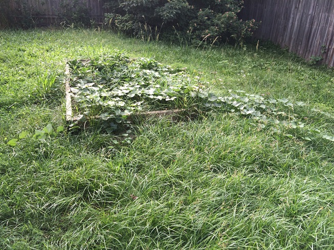 Picture 1