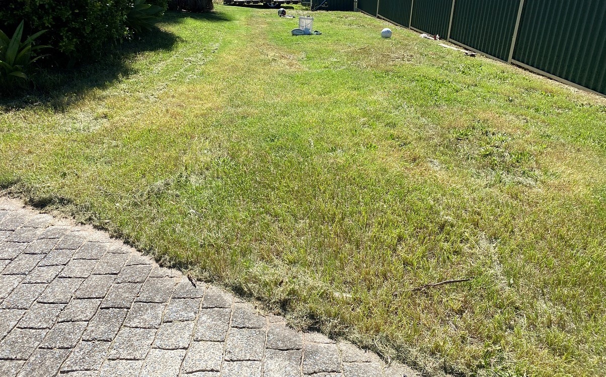 Picture 16