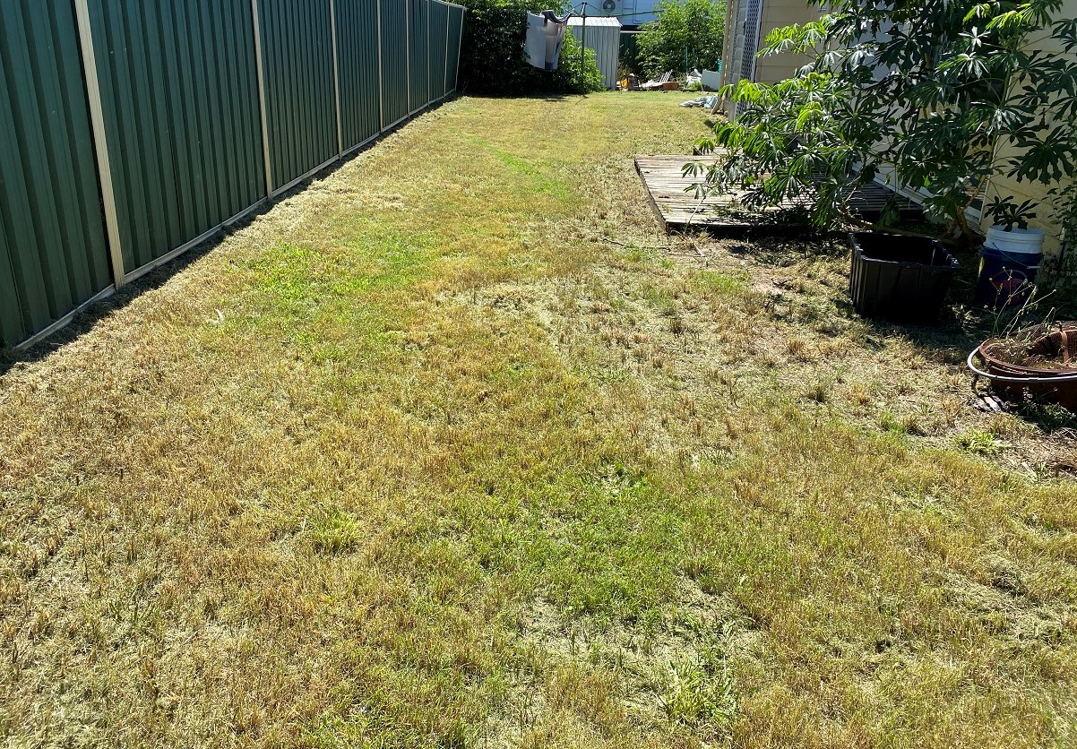 Picture 18